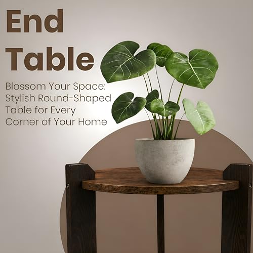 Image of Shoper cart Round End Table with 2-Tier Storage Shelf, Room Decoration Items for Bedroom, Side Tables for Bedroom, Home Decor for Living Room, Walnut Wood Top with Black Wooden Legs, 30x36 cm