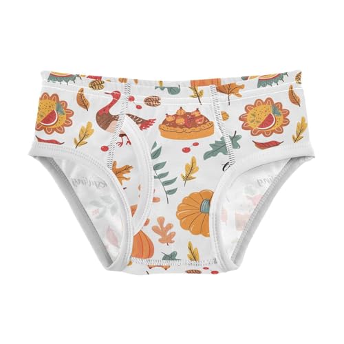 visesunny Boys Cotton Underwear Thanksgiving Food Turkey Printed Toddler Soft Training Briefs Size 2T-8Y for Kids