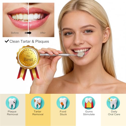 Dental Tools Plaque Remover Teeth Cleaning Tool﻿s Kit 6 Pcs Dental Care Kit Stainless Steel Dental Pick Tartar Remover Tool for Home/Travel/Pet Care-Storage Case Included