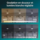 PHILIPS Fixed-Blade, Ventilatore a soffitto LED, 3 Pale da 132 cm, Bianco - 7