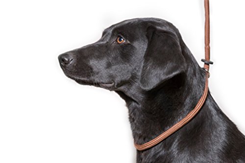 Dog & Field Deluxe Gundog Slip Leash - Brown. Super Soft Braided Nylon Slip Leash for Dogs with Rubber Stopper, Easy to Slip On, No Collar Or Harness Needed. One Size Fits All Training Lead for Dogs