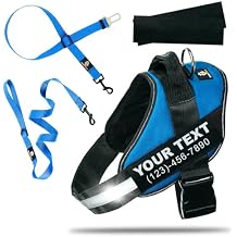 DOGGYKINGDOM Personalized Dog Harness and Leash Set with Seat Belt for Car, No Choke, Reflective, Adjustable Soft Padded Dog Vest Harness with Control Handle for Large Dogs, Blue, XL