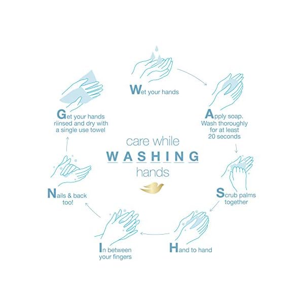 Dove Body Wash For All Skin Types Antibacterial Body Wash Protects from Dryness, 22 Fl Oz (Pack of 4)