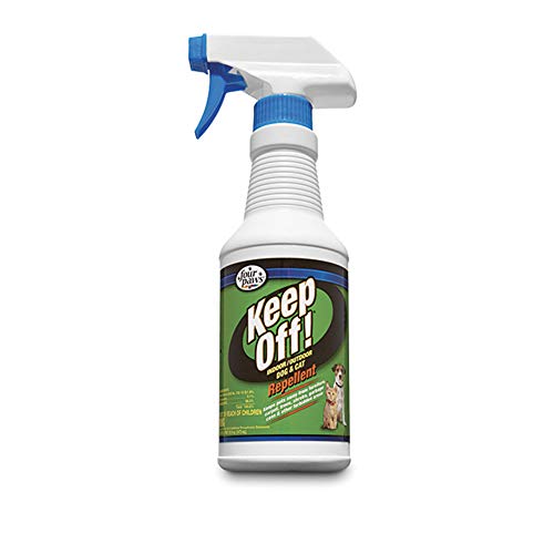 Keep Off! Repellent 16Ounce Spray in Pakistan