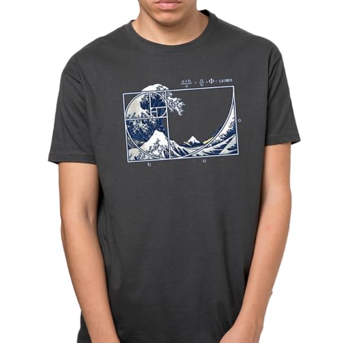 Pampling T-Shirt à Manches Courtes, 100% Coton, Vêtement Unisexe pour Homme et Femme, Sérigraphié avec Col Rond et Coupe Droite, Couleur Gris (The Great Fibonacci Wave, XL) – vue 2