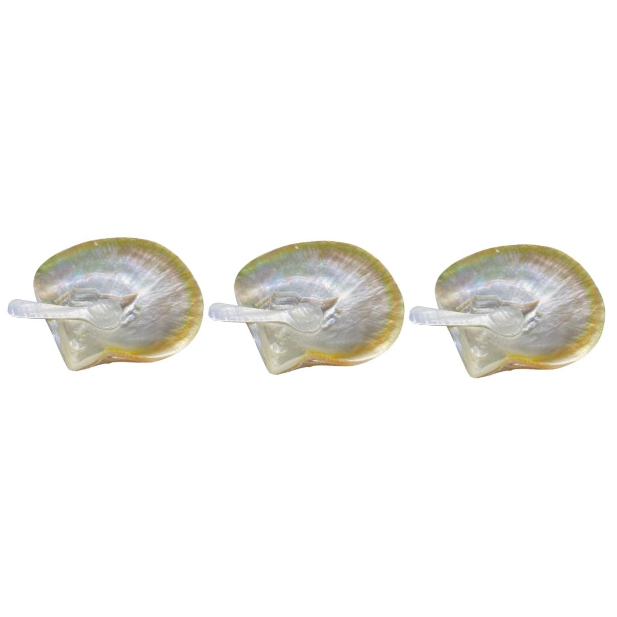 COLLBATH 3 Sets Natural Shell Plate and Spoon Unique Shaped Dessert Plates for Snacks Food Serving Microwave Safe for Parties Birthdays Weddings Housewarmings