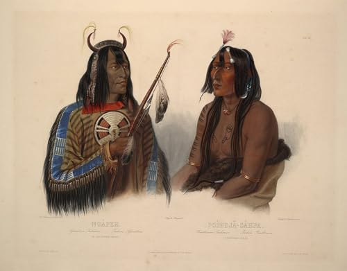 Poster Indien Yanktonien Karl Bodmer impression toile déco murale 60x90