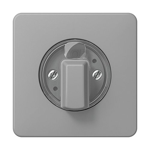 Preisvergleich Produktbild Jung CD500 Zentralplatte Schalter CD500 grau