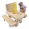 fuguzhu Eekhoorntjesvoederstation van hout, eekhoorntje, voederhuis, picknicktafel, voederstation, eekhoorntje voor…