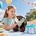 Otter Stuffed Animal – Cute Otter Plush Toy for Kids & Adults – Birthday Surprise & Room Decor –A Cuddly Companion for Everyday hugs and Bedtime