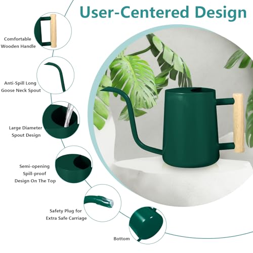 Image of Watering Can Indoor Plants, 35oz Small Indoor Stainless Steel Metal Watering Can Modern Decorative Watering Pot with Long Spout for Indoor House Plant Bonsai Garden Flowers (Alpinegreen)