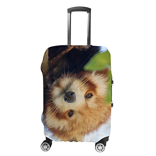 Housse de protection pour bagages élastique pour éviter les rayures de valise