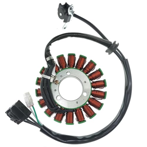 Bobine stator magnéto ER300 Z300 alternateur générateur moto moteur