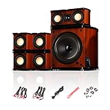 HiVi-Swans M20-5.1MKII 5.1 Channel Home Theater Speaker System - Satellite Speakers - Computer Speakers with Subwoofer - Audio Inputs