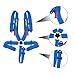 DING.PAI 5 Point Racing Harness SFI Approved Protection Heavy Duty Shoulder Pads Quick Release Cam Lock Latch Mechanism Fit Go-Kart Racing Car UTV ATV Blue