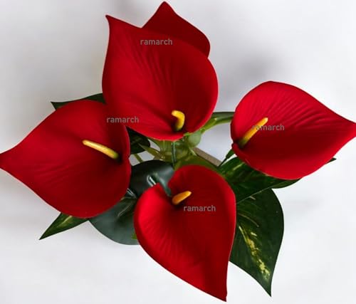 Image of Artificial Anthurium Flowers, Red Floral Arrangement with Wooden Pot, Indoor Home Decor