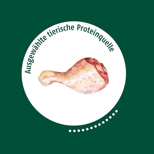 Christopherus PUR, Ente, Vollnahrung für Hunde, Nassfutter, 6 x 400 g