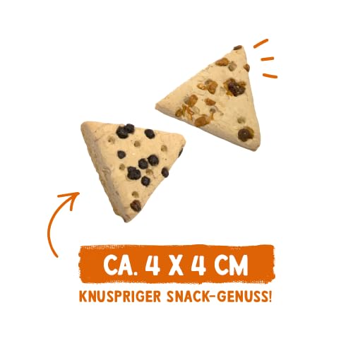 Sammy´s Fruchtschnitten | Fruchtige, gebackene Snacks für Hunde | Schonend im Ofen gebacken| mit Äpfeln & Holunder | 100 % Vegan| ohne Zuckerzusatz | 1x 800 g