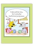 NobleWorks - Big Cartoon Feel Better Card (8.5 x 11 Inch) - Get Well Soon Humor, Funny Comic Greeting - Medicinal Catnip J5092