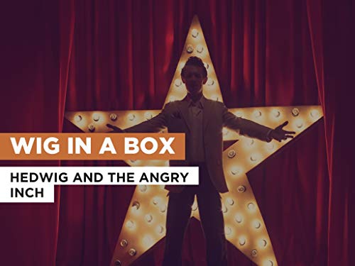  Wig In A Box nello stile di Hedwig And The Angry Inch