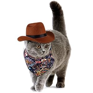 Pet Dog Cat Western Cowboy Hat, Funny Pet Hat, Adorable Puppy Kitten Decoration, Adjustable Pet Hat, Suitable for All Kinds of Small and Medium Dogs and Medium and Large Cats Pet Dog Cat Western Cowboy Hat, Funny Pet Hat, Adorable Puppy Kitten Decoration, Adjustable Pet Hat, Suitable for All Kinds of Small and Medium Dogs and Medium and Large Cats