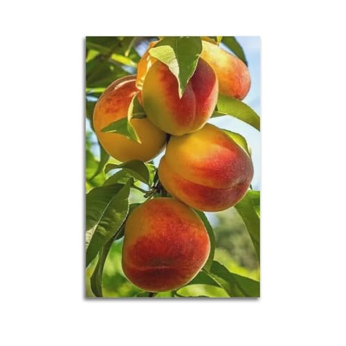 Poster mural pêches 60x90cm pour habiller un grand mur blanc vide