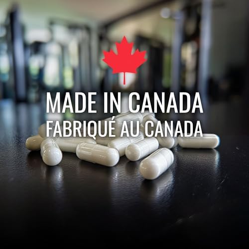 Creatine Capsules - 1000 mg (1 g) Creatine Monohydrate per Capsule, 300 Count (3-5 Daily) - Made in Canada - Muscle, Strength, Power, Performance Supplement - Third-Party Tested - Nutritionn - 1
