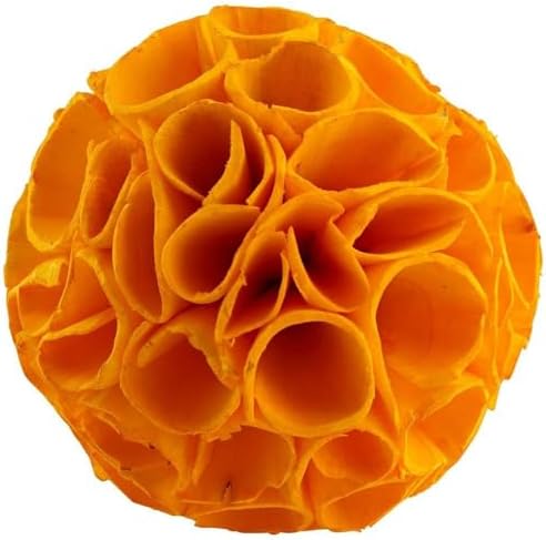 Cyan Design 07558 Nola Filler Ideal Gift for Wedding, Floral / Floor Vase, Party, Home Decor, Office, Spa