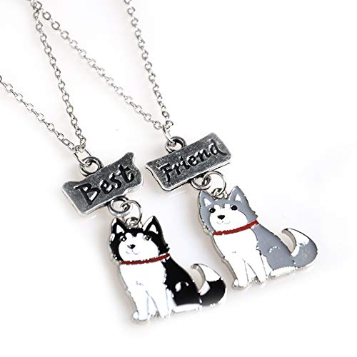Mummumi Best Friend Necklaces, Friendship Lovely Pet Dogs Pendant Fashion Dogs Set Metal Necklace for Valentine's Day Present Birthday Christmas(Pug,Tidy,Bichon Frise,Schnauzer,Husky)
