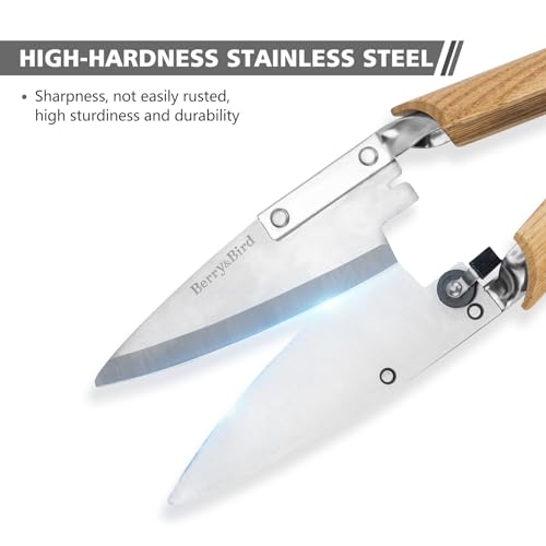 Berry&Bird Hand Shears, Single Bow Straight for Wool Sheep Shear for Alpaca, Pet, and Horse Shearing, Stainless Steel Large Grass Scissors for Cutting, Gardening, Pruning, and Trimming - 11.8'' Long - Thumbnail 5