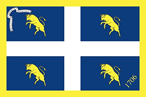 Drapeau de Turin grand format tissu résistant extérieur et intérieur