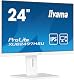Iiyama Prolite XUB2497HSU-W2 24 Zoll Monitor mit Full-HD und 100Hz