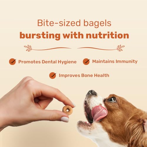 Image of HUFT Bagel Bites Dog Treats - Real Chicken & Cheese, 140 gm | High-Protein & Gluten-Free Snacks | Supports Dental Hygiene & Bone Health | Tasty Chewy Treats for Puppies & Adult Dogs of All Breeds