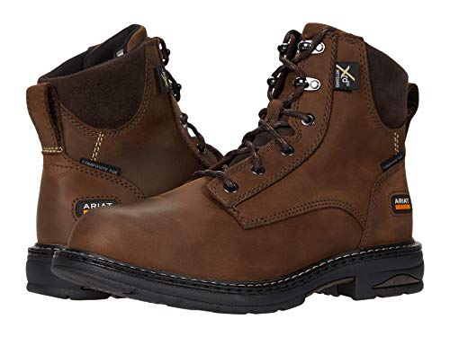 Image of ARIAT Casey 6 inch Met Guard