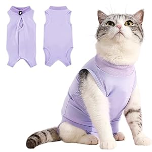 Idepet Cat Surgery Recovery Suit Kitten Onesie for Cats After Surgery Female Breathable Kitty Spay Suit for Abdominal Wound Skin Diseases E-Collar Alternative Wear(Purple,M)