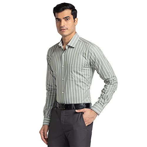 Image of Park Avenue Men's Pure Cotton Stripe Pattern Slim Fit Ainsley Collar Full Sleeve Formal Shirt