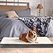 EHEYCIGA Orthopädisches Hundebett XXL Grosse Hunde 120x74x9cm, Hundekissen Waschbar Flauschig, Hundematte Hundematratze für Kiste, Beige
