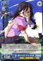 Amazon.co.jp: ヴァイスシュヴァルツ 猫に魅せられた少女 羽川翼