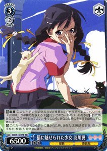 猫に魅せられた少女　羽川翼 Amazon.co.jp: ヴァイスシュヴァルツ 猫に魅せられた少女 羽川翼