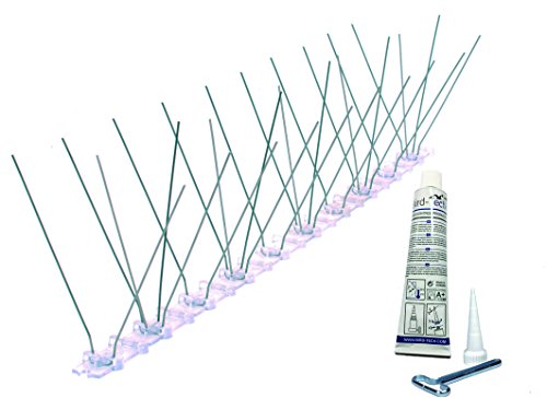 3 Mètres Anti-Oiseaux en Acier Inoxydable + Colle Spécial Bird-Tech