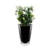 Barski Glass Vase Black Glass Vase Wavy Style 9 Height Vase for Flower Rose Tulip Made in Europe