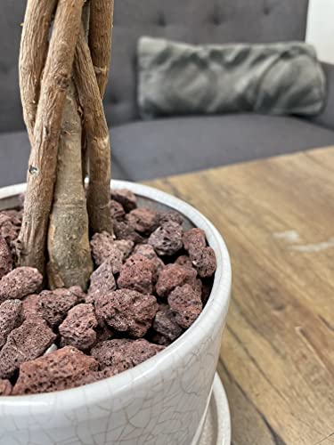 Consejos y comparativas para Comprar Piedra roja para jardin - los más vendidos. 16 Consejos y comparativas para Comprar Piedra roja para jardin - los más vendidos. 15