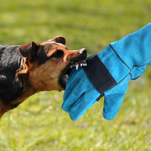 WYYFXY® Bissfeste Handschuhe Tieren, 45cm Katzenhandschuh Dornenfeste Handschuhe Anti Biss Arbeitshandschuhe Rindsleder für Schweißen, Gartenarbeit, Umgang mit Hunden Katzen