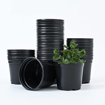 See full amazon price history chart for Dervino Flower/Nursery Pots (7 Inch, Black) Flower pots for Home Decoration, Plastic Round Flower Pots for Terrace Gardening pots for Indoor & Outdoor Use. (Nursery Pots Black 7 Inch Pack 15) Dervino Flower/Nursery Pots (7 Inch, Black) Flower pots for Home Decoration, Plastic Round Flower Pots for Terrace Gardening pots for Indoor & Outdoor Use. (Nursery Pots Black 7 Inch Pack 15) (B0D1ZHBGBS) Amazon Price History, Amazon Price Tracker