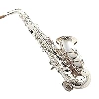 ★都内お手渡し限定★ほぼ新品！e-Sax アルトサイズ 61BMcYFJoPL.jpg_BO30,255,255,