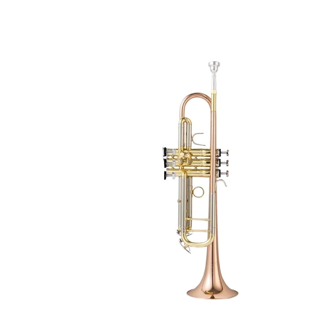 trąbka instrument Model z brązu fosforowego dla początkujących w klasie B do profesjonalnego badania wydajności