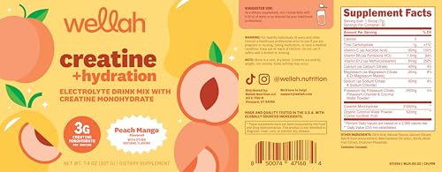 Image of Wellah Creatine + Electrolytes Powder (Peach Mango) 30 Servings - Hydration Drink Mix with 3g of Creatine Monohydrate