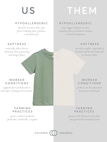 Colored Organics - Organic Cotton Toddler Short Sleeve Shirts - Baby Toddler and Kids Tops - Girls and Boys Tees4
