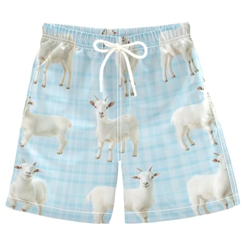 Jucciaco Boys Beach Board Shorts Sheep Grid Blue Animal Swim Trunk Teen Swimwear