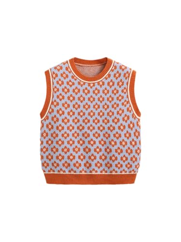 CIDER Sweater Vest Women Sleeveless Cropped Sweaters Cute Graphic Tank Tops Old Money Clothes Fall Outfits: Orange, L